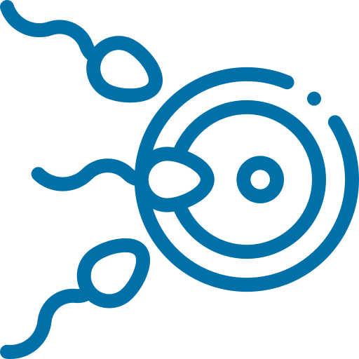 טיפולי הפריה חוץ גופית  (IVF)