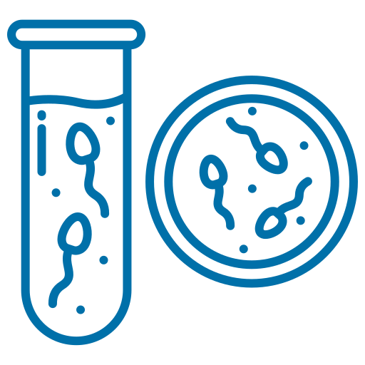 תרומת זרע​